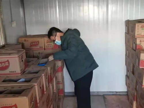 衡水推進食用農產品批發市場規范化建設，守護市民“菜籃子”安全