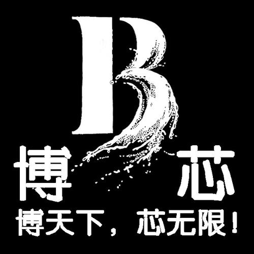 洞察科技脈搏，賦能企業未來——山東博芯信息科技信息咨詢服務解析